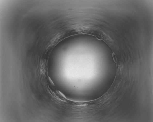 X0000080181012200612151943