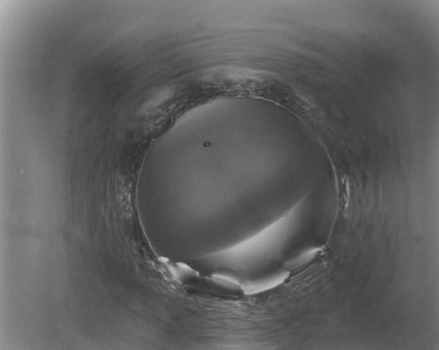 X0000080181013200612151943