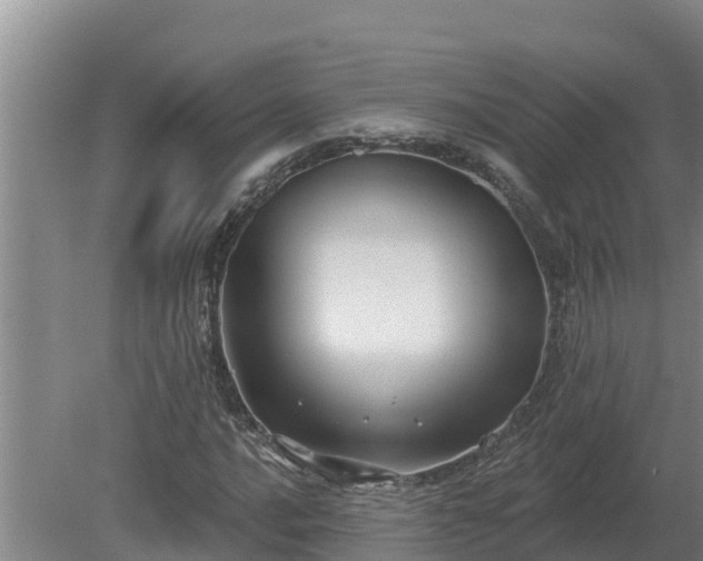 X0000080181016200612151943