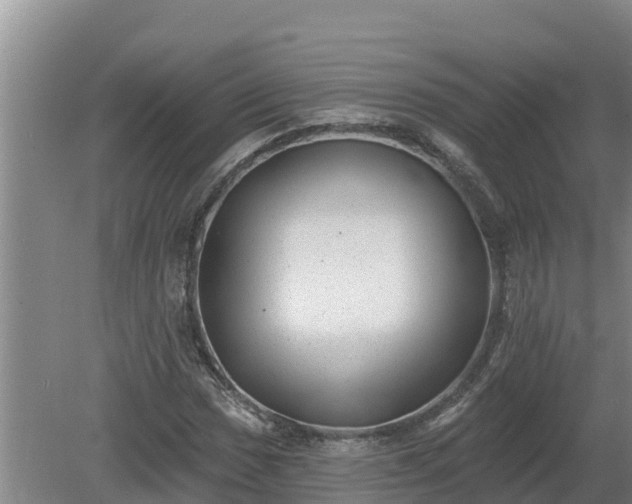 X0000080181017200612151943