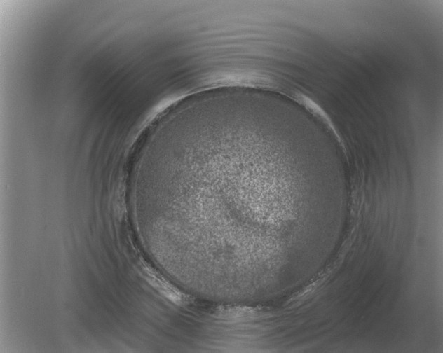 X0000080181019200612151943