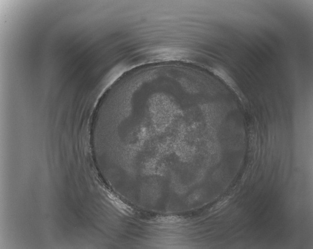 X0000080181023200612151943