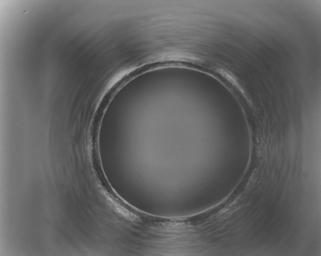 X0000080181024200612151943