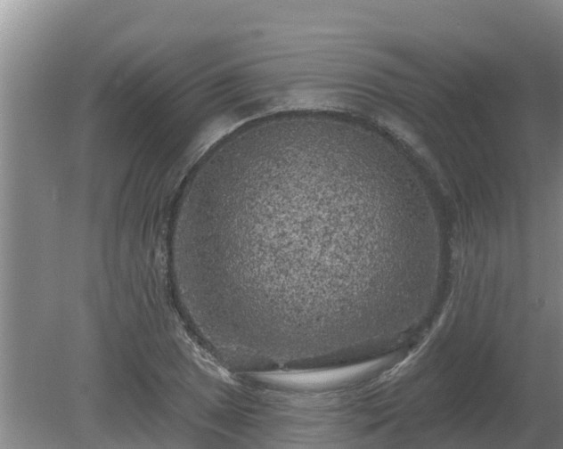 X0000080181025200612151943