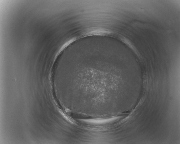 X0000080181026200612151943