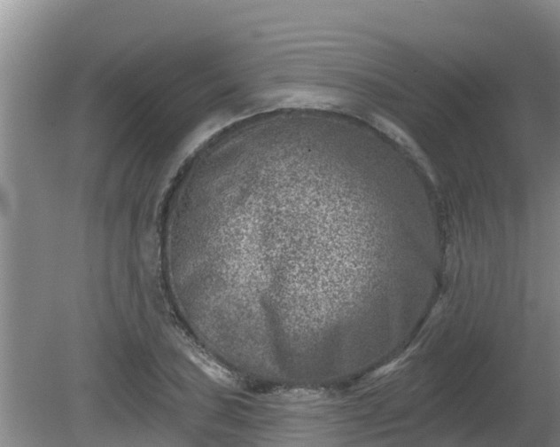 X0000080181027200612151943