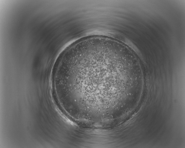 X0000080181028200612151943