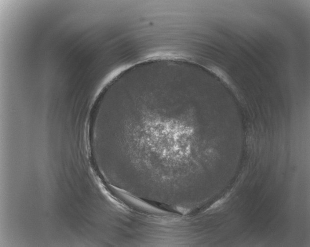 X0000080181030200612151943