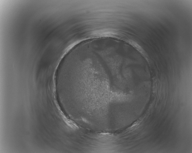 X0000080181031200612151943