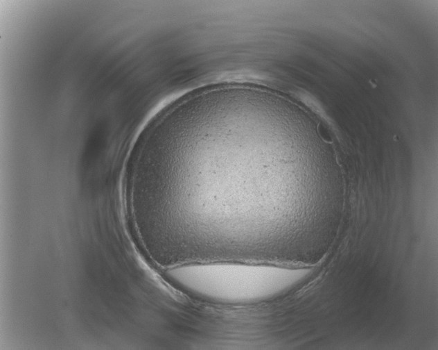 X0000080181032200612151943