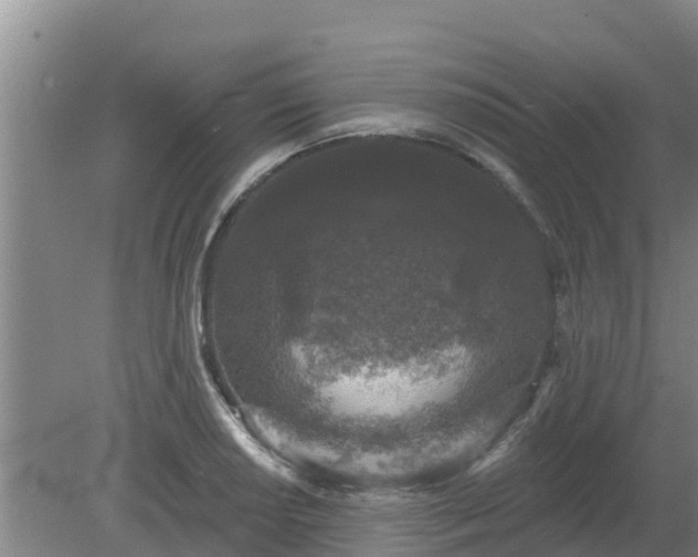 X0000080181034200612151943