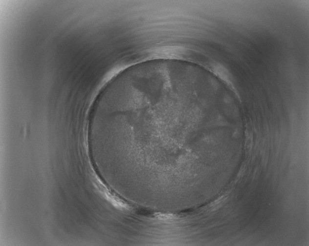 X0000080181035200612151943