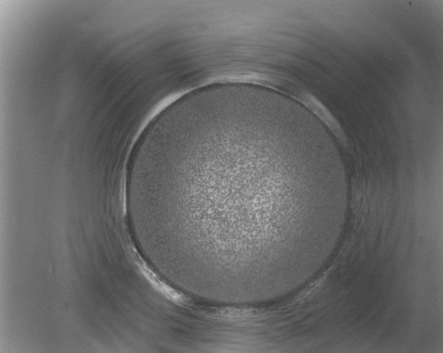 X0000080181036200612151943