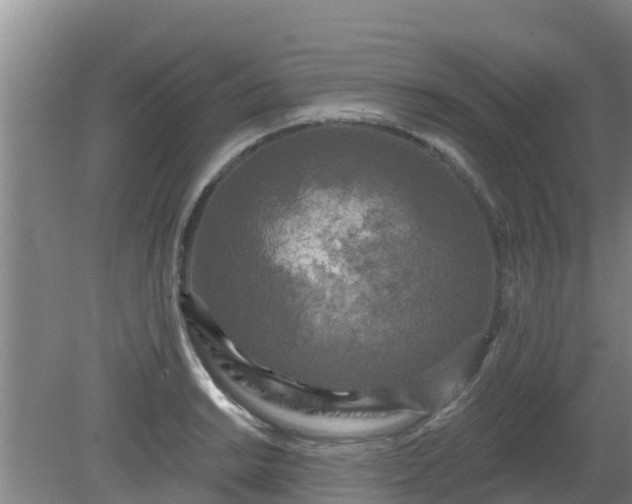 X0000080181038200612151943