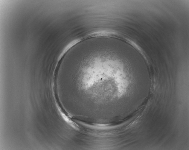 X0000080181042200612151943