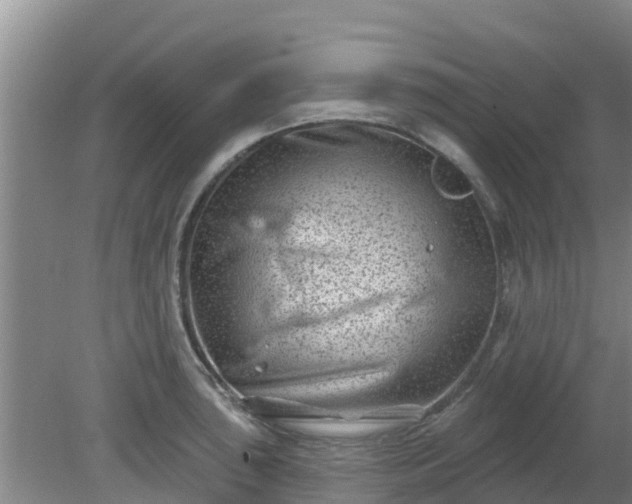 X0000080181043200612151943