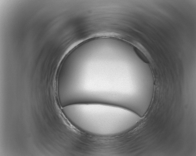 X0000080181044200612151943