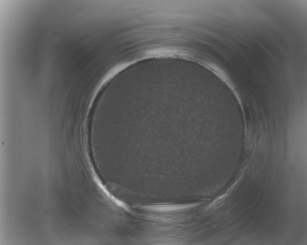 X0000080181045200612151943