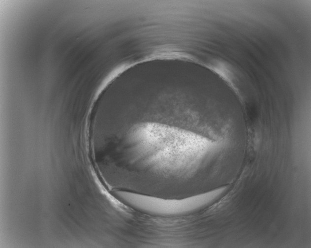 X0000080181046200612151943