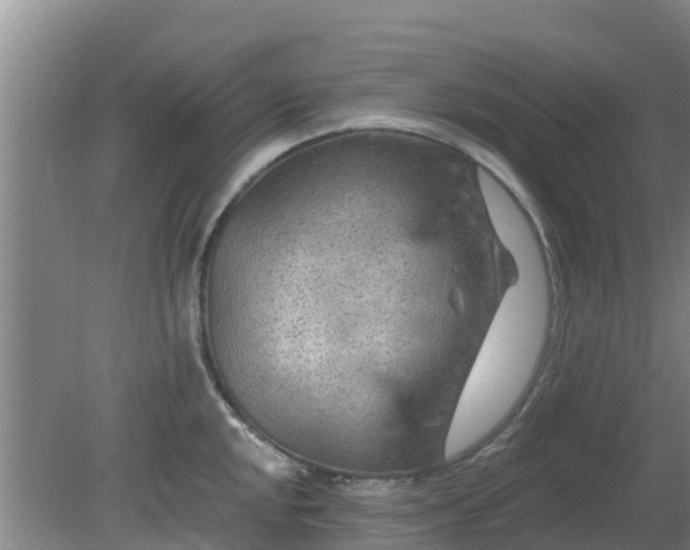 X0000080181048200612151943