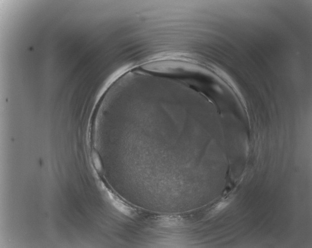 X0000080181050200612151943