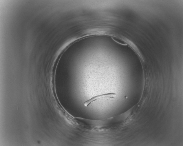 X0000080181051200612151943