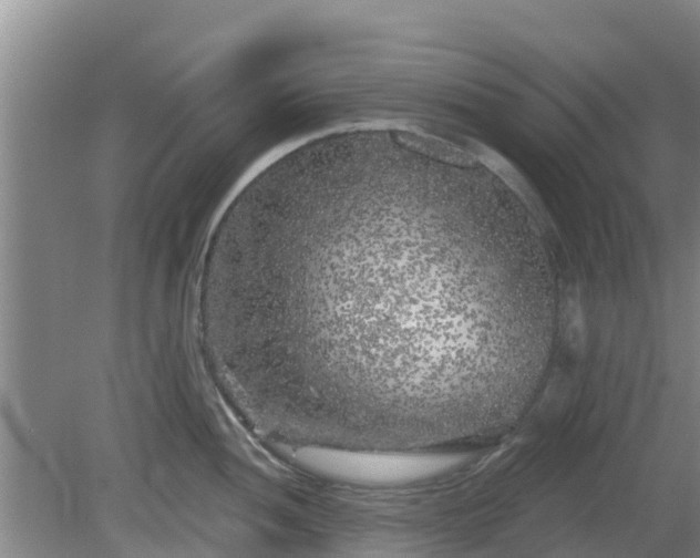 X0000080181052200612151943