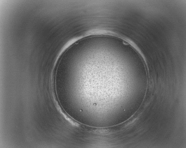 X0000080181053200612151943