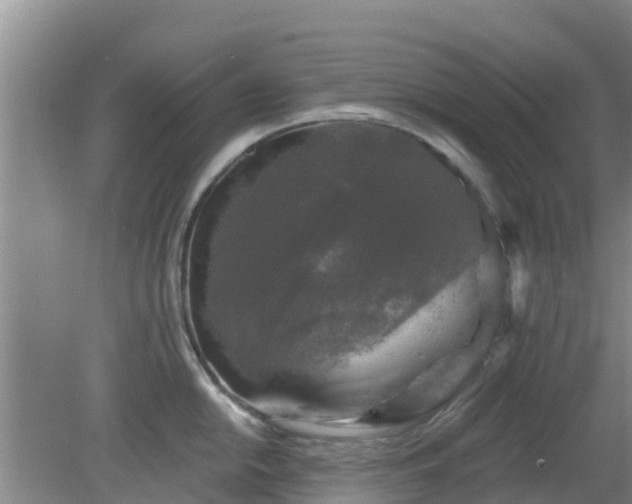 X0000080181054200612151943