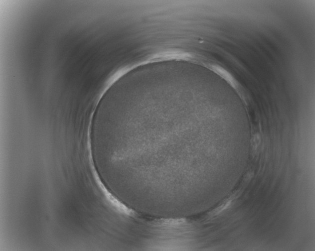 X0000080181055200612151943