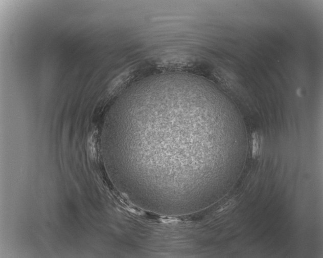 X0000080181059200612151942