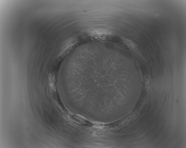 X0000080181060200612151942