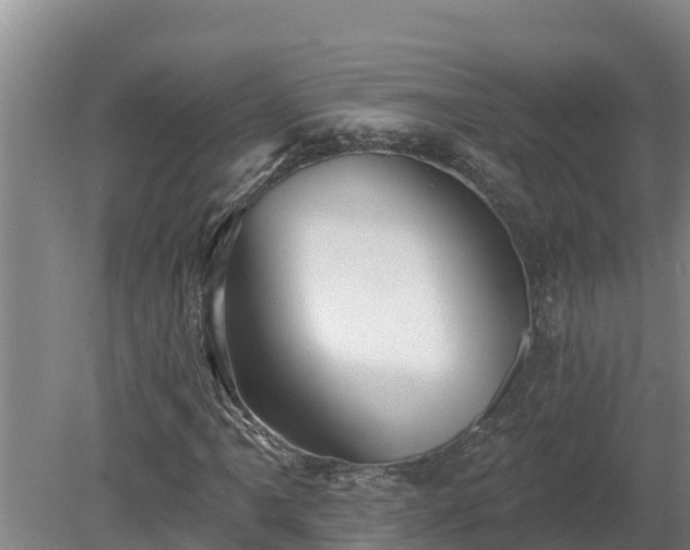 X0000080181061200612151942