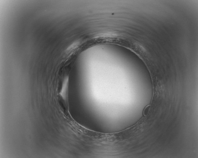 X0000080181062200612151942