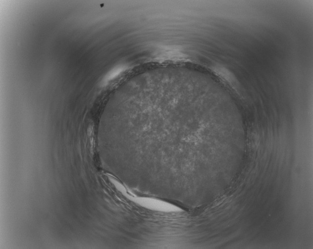 X0000080181063200612151942