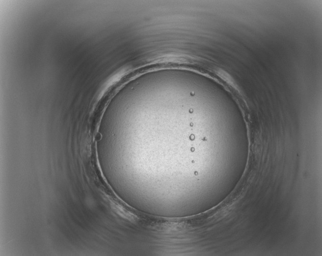 X0000080181067200612151942