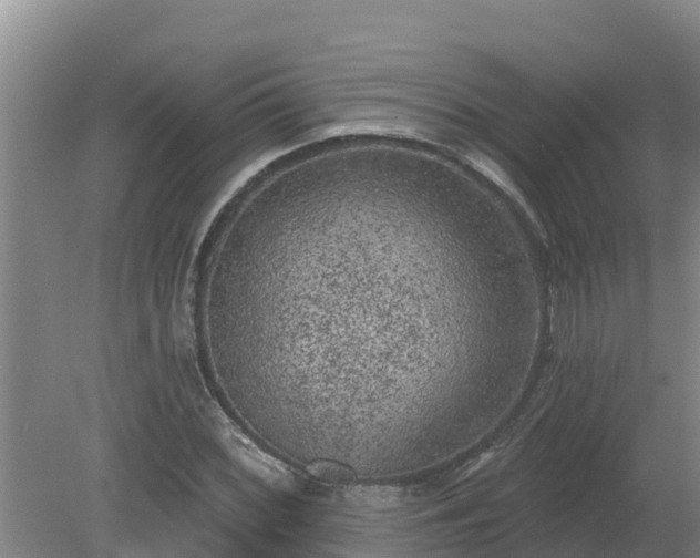 X0000080181068200612151942