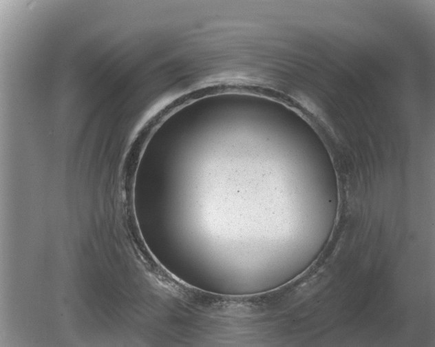 X0000080181070200612151942