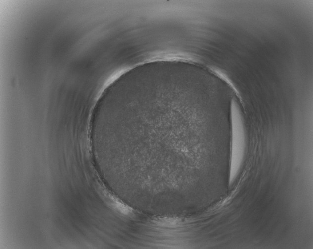 X0000080181071200612151942