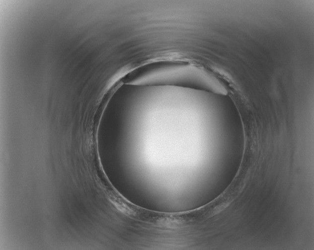 X0000080181073200612151942