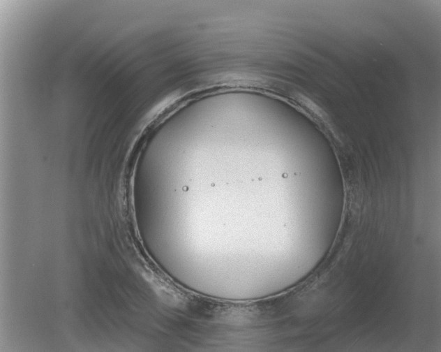 X0000080181074200612151942