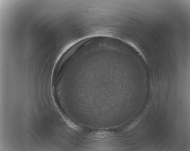 X0000080181077200612151942