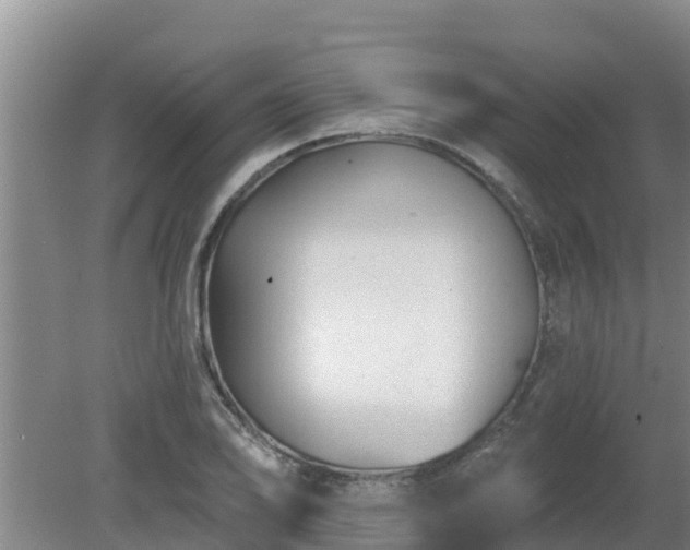 X0000080181078200612151942