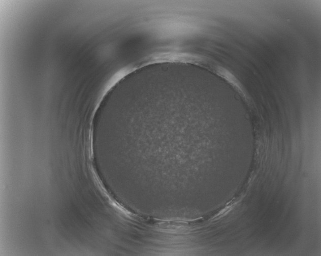 X0000080181079200612151942