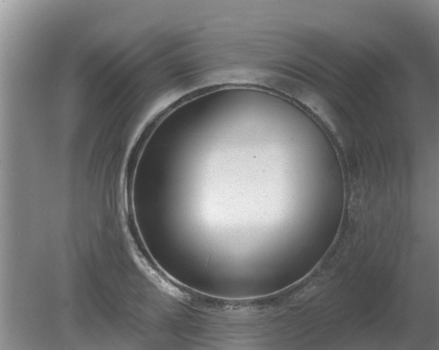 X0000080181080200612151942