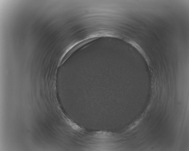 X0000080181081200612151942