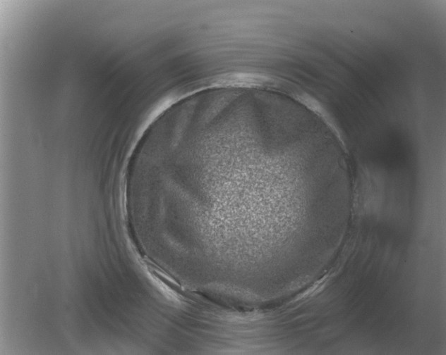 X0000080181083200612151942