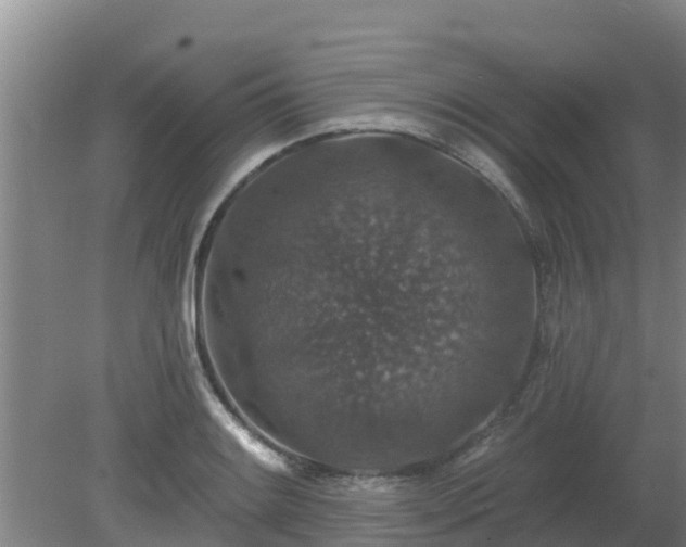 X0000080181084200612151942