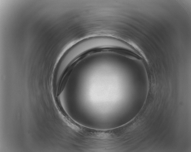 X0000080181085200612151942