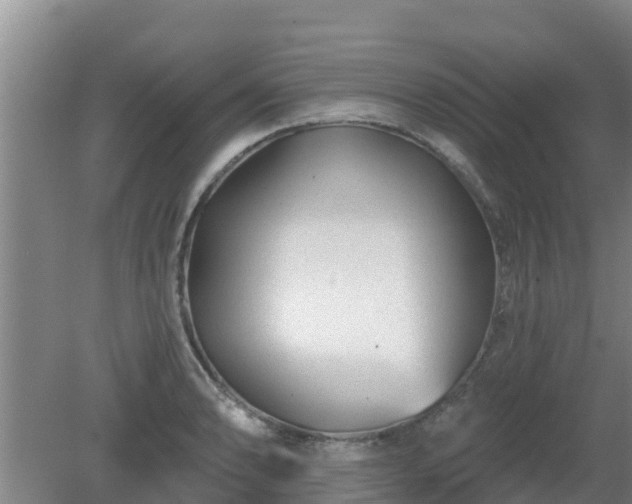 X0000080181086200612151942